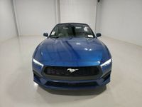 używany Ford Mustang 