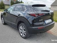 Obraz 3