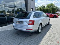 używany Skoda Octavia 4x4, manual, led, bi-xenon, podgrz. fot., web…