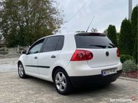 Obraz 3