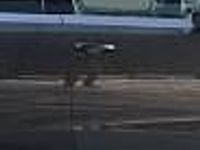 używany Peugeot 3008 1.2 PureTech mHEV Allure e-DCS6