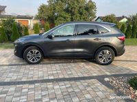 Używany Ford Escape SEL 2020 SUV