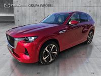 Obraz 1