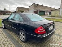Obraz 3