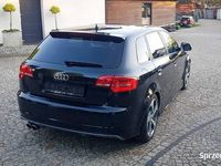 Obraz 3
