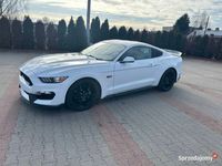 używany Ford Mustang GT GT 2017 350 style