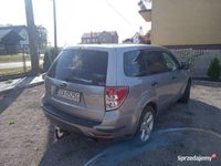 Obraz 1