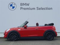 używany Mini Cooper S Cabriolet 