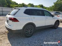 Używany VW Tiguan SE 2024 SUV