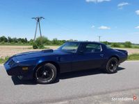 używany Pontiac Firebird / Trans Am MIDNIGHT BLUE 1981 do KOLEKCJI …