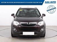 Używany Opel Antara 184 KM (135 kW) 2014 Brązowy SUV