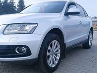 używany Audi Q5 2.0 TDI manual, alcantara