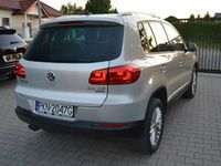 Obraz 3