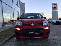 Nowe Fiat Panda Icon 70 KM (51 kW) 2025 Lakier pastelowy czerwony passione Hatchback