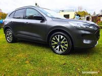 używany Ford Kuga mk3 2020 2,5 Hybrid AWD