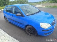 Obraz 3