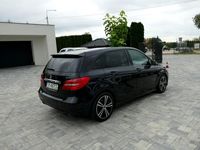 Obraz 3