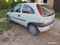 Obraz 3