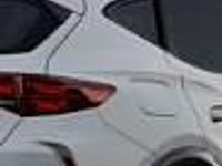 Obraz 3