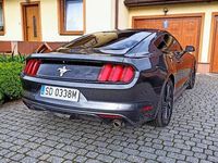 używany Ford Mustang 3,7 niski przebieg