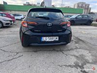 Obraz 1