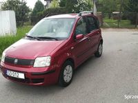 Używany Fiat Panda 2005 Bordowy Hatchback