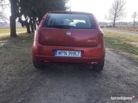 Obraz 3