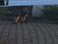Obraz 3