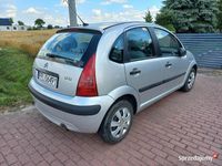 Obraz 3