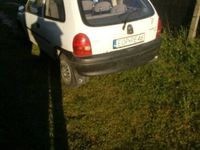 Obraz 3