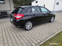 Obraz 3