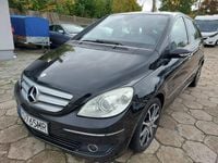 Obraz 3