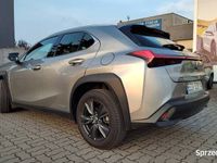 używany Lexus UX 