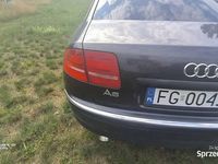 Obraz 3