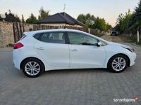 Obraz 3