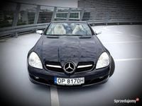 Obraz 2