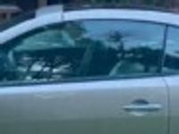 używany Renault Mégane Cabriolet II 2.0 Luxe Privilege