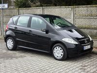 Obraz 3