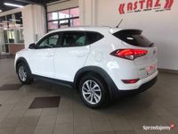 używany Hyundai Tucson 