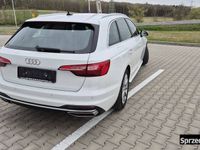 Obraz 3
