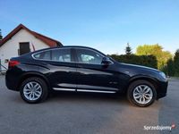 Obraz 3