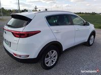 używany Kia Sportage 2018 rok