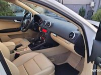 Używany Audi A3 105 KM (77 kW) 2011 Biały Hatchback