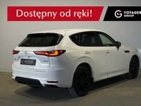 Obraz 2