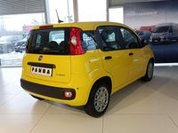 Nowe Fiat Panda Icon 70 KM (51 kW) 2025 Lakier pastelowy zółty positano Hatchback