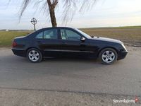 Obraz 3