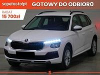Obraz 1