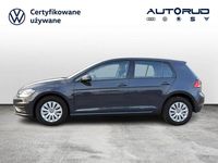 Używany VW Golf VII 116 KM (85 kW) 2019 Szary Hatchback
