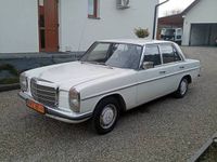 Obraz 3