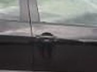 używany VW Golf VI Plus II pierwsza rejestracja 2012